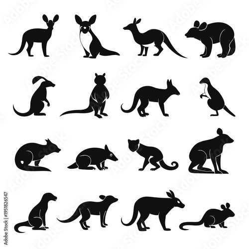 Silhouettes of various marsupials black vector flat image