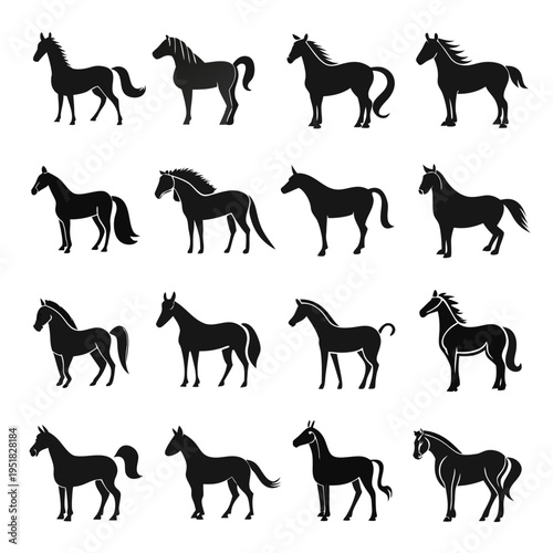 Collection of various horse silhouettes standing on white background