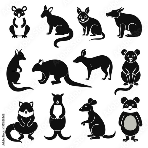 Collection of Stylized Native Australian Animal Illustrations on White