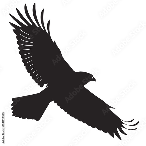 Silhouette of a soaring hawk in flight, majestic bird of prey with wings spread wide, isolated on white background, powerful symbol of freedom and nature