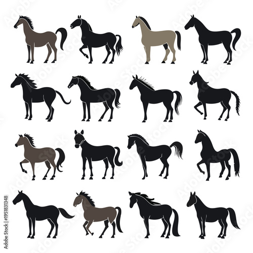 Set of minimal horse silhouettes in various poses