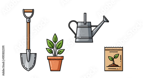 Gardening tools and plant care essentials.