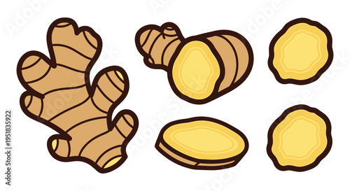 Ginger Root Illustration