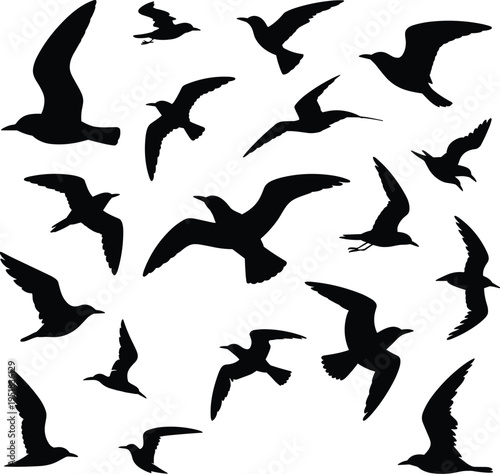 Bird flight silhouettes, flying posture icons, wing span illustration, avian motion design, ornithology study graphic, diverse bird positions, nature flight set
