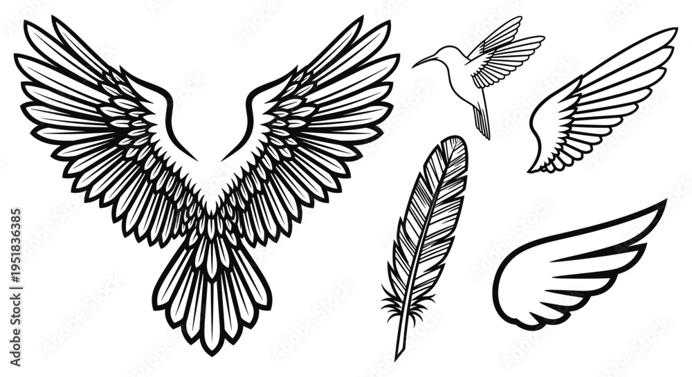 Fototapeta premium Bird Wings and Feather Graphics