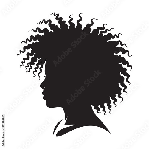 A striking profile view of a woman with voluminous natural afro hair a silhouette