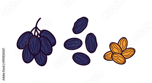 Raisins and Grapes Illustration