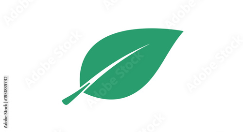 Simple green leaf icon with a central vein is illustrated in a flat graphic style against a plain white background for eco designs.
