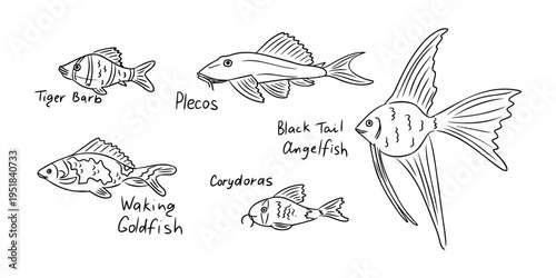 Illustration of various freshwater fish species including Tiger Barb, Plecos, Black Tail Angelfish, Waking Goldfish, and Corydoras with labeled names