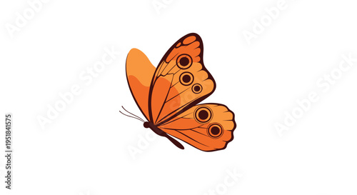 Beautiful orange butterfly illustration shown from a side profile view with intricate wing patterns over a clean white background for nature themes.