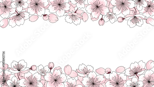Beautiful cherry blossom floral border design with delicate pink flowers and buds arranged at the top and bottom of a white background.