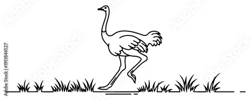 Ostrich running in the savanna silhouette, african bird on grass field outline, wild animal minimal graphic for safari and nature design