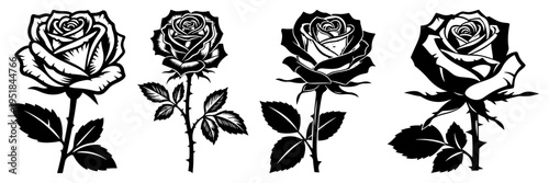 Rose flower silhouette set, blooming garden roses with leaves and stems, floral design elements for wedding, valentines day and nature illustrations