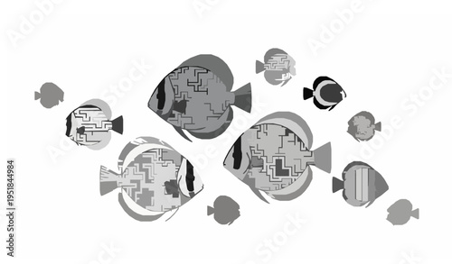 Modern Discus Fish Vector Symphysodon Tropical Aquarium Fish Flat Illustration Set