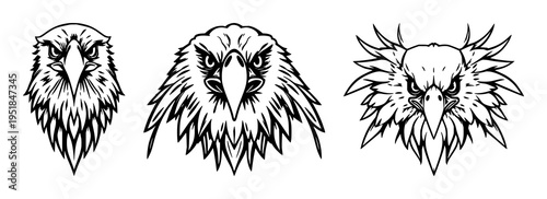 Eagle head set with symmetrical line art design featuring predatory bird style, modern bold lines with animal and wildlife illustration