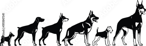 Silhouettes of various dog breeds including Doberman, German Shepherd, and Terrier, showing canine diversity, pet ownership, animal behavior, and veterinary care,