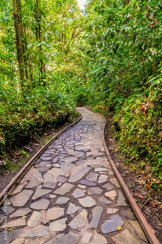 A view of the path leading to the Crayfish Waterfall on Basse Terre, Guadeloupe on a bright sunny day