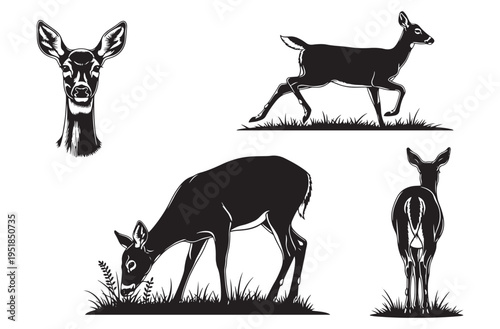 Female deer and doe silhouette collection showing graceful movements like running grazing and looking forward for hunting club logos forest wildlife designs and nature conservation