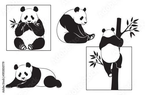 Panda bear vector art featuring pandas eating bamboo and climbing trees in modern graphic styles suitable for asian wildlife themes conservation posters and decorative illustrations