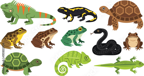 Professional Flat Style Reptile and Amphibian Vector Collection Featuring Iguana Spotted Frogs Black Snake Tortoises and Lizards for Modern Educational and Wildlife Graphics