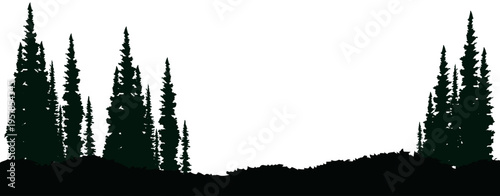Silhouette of a dense pine forest with tall conifer trees on an uneven ground against a stark white background, creating a minimalist landscape illustration.