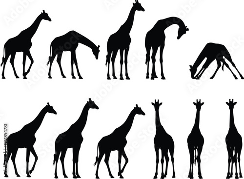 Beautiful cinematic aerial view of a peaceful natural landscape at sunset with vibrant colors, high quality professional photography for commercial use,