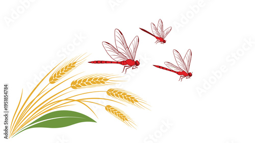 Elegant composition of red dragonflies flying over golden stalks of wheat with a single green leaf at the base.