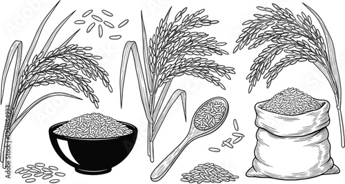 Detailed Rice Stalk Botanical Illustration with Rice Bowl Wooden Spoon and Burlap Sack for Organic Food Packaging and Agricultural Branding