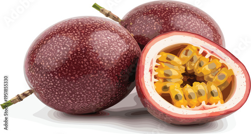 Set of Five Cute Squirrel Characters with Large Bushy Tails in Various Playful Poses for Forest Themed Branding and Childrens Storybooks