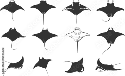 Manta ray silhouette set, Manta ray vector, Manta ray svg, Manta ray clipart, Manta ray drawing bundle -V02.
