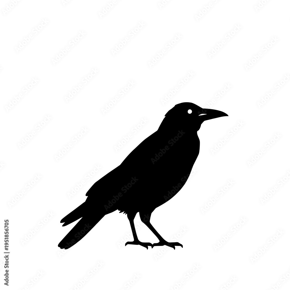 Obraz premium Raven's Silhouette: A striking black raven perches with keen focus, its silhouette starkly contrasting against the backdrop, evoking a sense of mystery and intrigue.