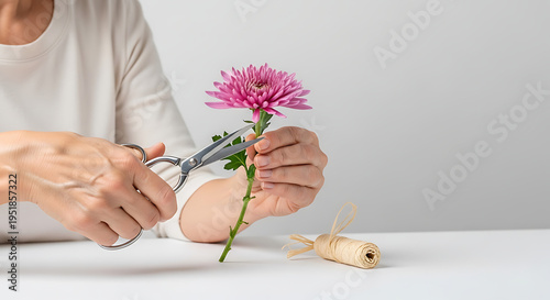 Woman trimming chrysanthemum flower with scissors on white table  