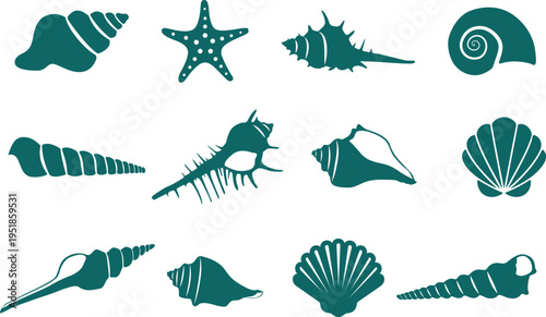 Sea shell silhouettes, Sea shell svg, Marine life silhouette, Sea shell vector collection, Sea shell clipart.