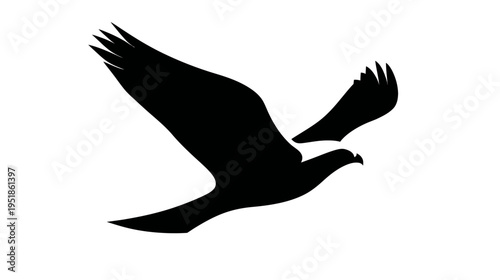 Majestic black silhouette of a bird of prey in soaring flight, depicting freedom, power, and wildlife in motion.