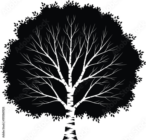 Birch tree silhouette illustration, nature artwork design, decorative vector symbol, bold graphic icon, black white plant motif