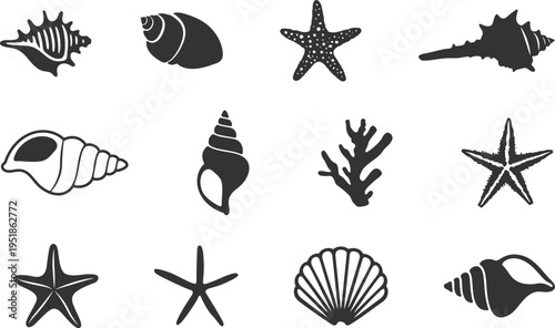 Sea shell silhouettes, Marine life silhouette, Sea shell vector collection, Sea shell outline -V02