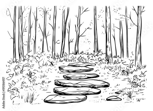 Forest path with stepping stones vector, nature woodland trail landscape in hand drawn sketch style