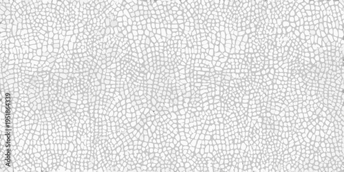 Close up of cracked white surface resembling reptile skin texture