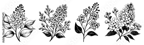 Lilac flower sprigs and blossoms set vector, botanical spring plants collection hand drawn sketch style