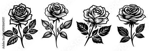 Rose flowers sketches set vector, botanical floral blossom collection in hand drawn vintage line art style