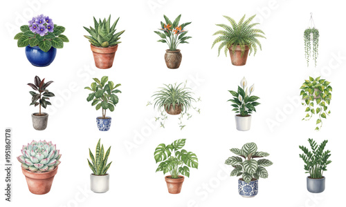 Watercolor houseplant collection with potted indoor plants