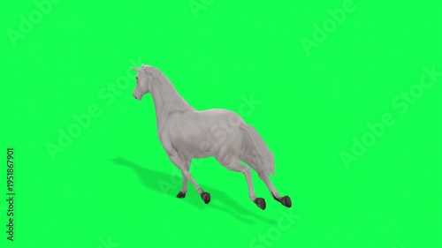 4k white Horse Run cycle loop top back view animation Green Screen Animal, 3D Realistic Arabian horse Galloping Freely on a Vibrant rendering on the chroma key, cartoon element to your video content