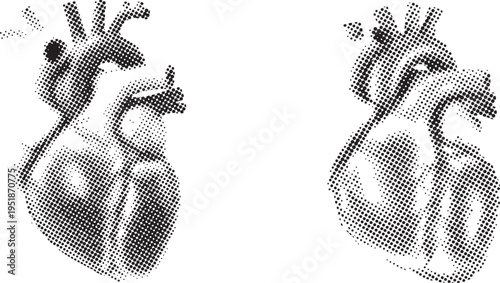 Two stylized anatomical hearts rendered with a halftone dot pattern isolated on white