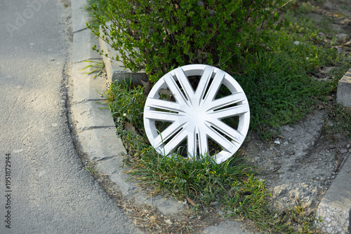 Obraz na plátně White hubcap discarded beside a curb near roadside greenery
