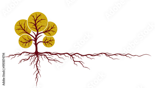 Big tree with roots.