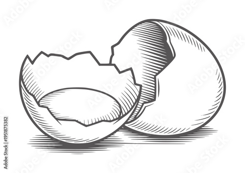 Black and white line of a cracked open eggshell broken