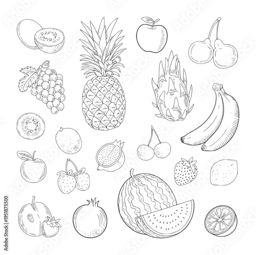 Black and white line of assorted fruits including pineapple apple banana and watermelon