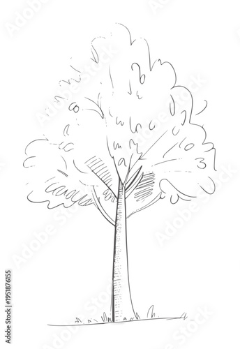Simple black and white line of a deciduous tree with textured trunk and foliage