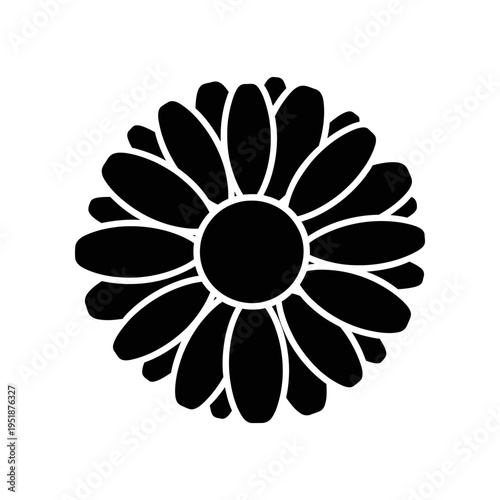 Black and white daisy flower illustration minimalist line art design vector