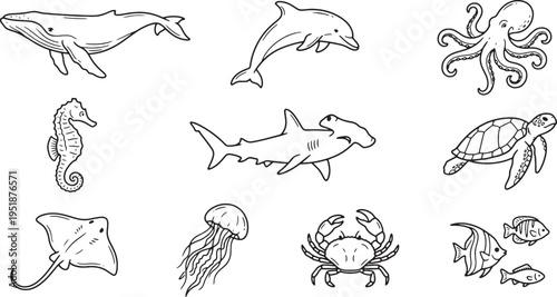Black line drawings of various ocean creatures including fish dolphins whales and sea turtles on white background for aquatic designs